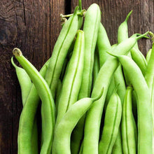 Load image into Gallery viewer, Organic Contender Bush Beans (20g)