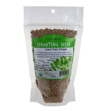 Load image into Gallery viewer, Organic Hard Red Wheat Sprouting Seeds (8 ounces)
