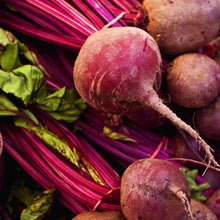 Load image into Gallery viewer, Organic Bull's Blood Beet Seeds (2g)

